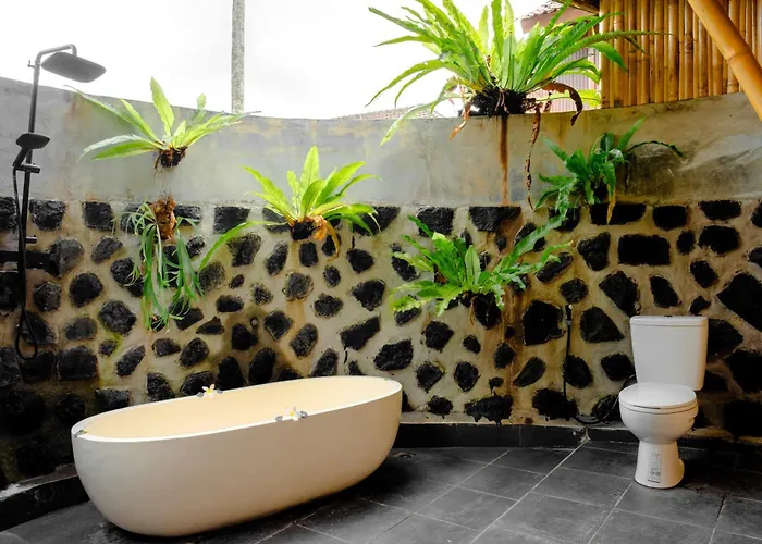 Aura Cendana Hill By Agata Lodge Sidemen (Bali)