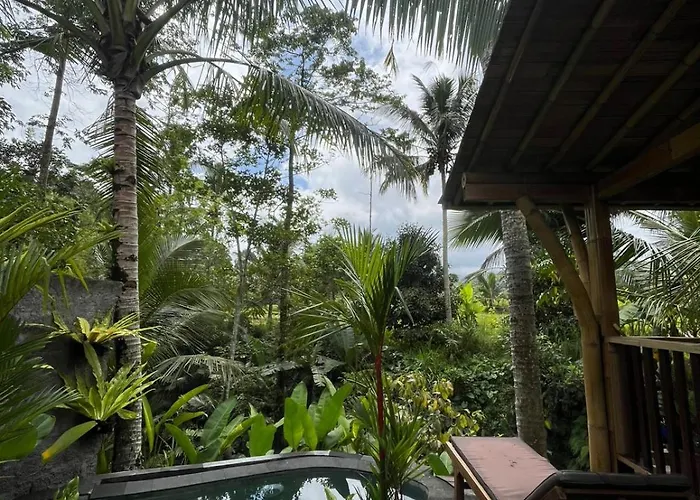 Aura Cendana Hill By Agata Sidemen (Bali)